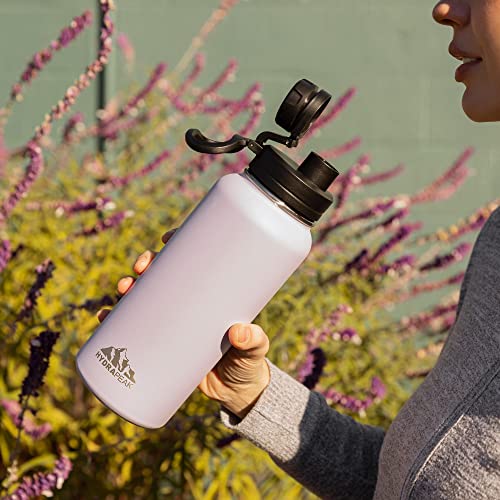 Hydrapeak 32oz Insulated Water Bottle with Chug Lid, Aubergine, Handle