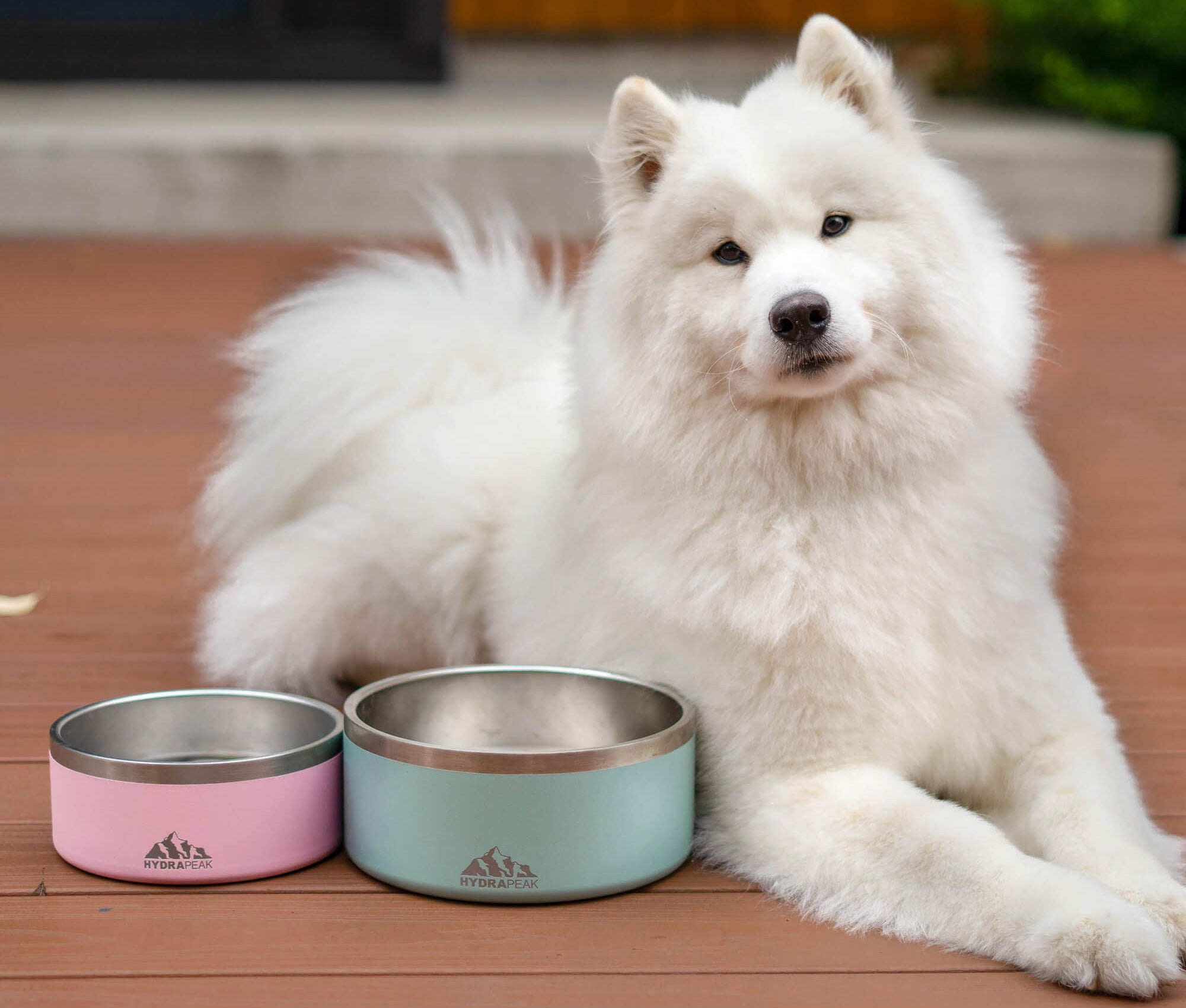 Hydrapeak 4 Cup Dog Bowl - Durable 18/8 Stainless Steel Pet Bowl