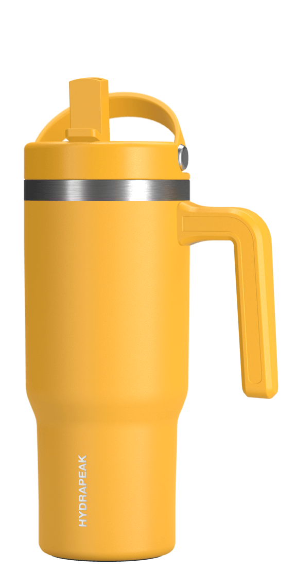 Hydrapeak 18oz Voyager Kid's with Handle and Straw Lid - Insulated Tumbler
