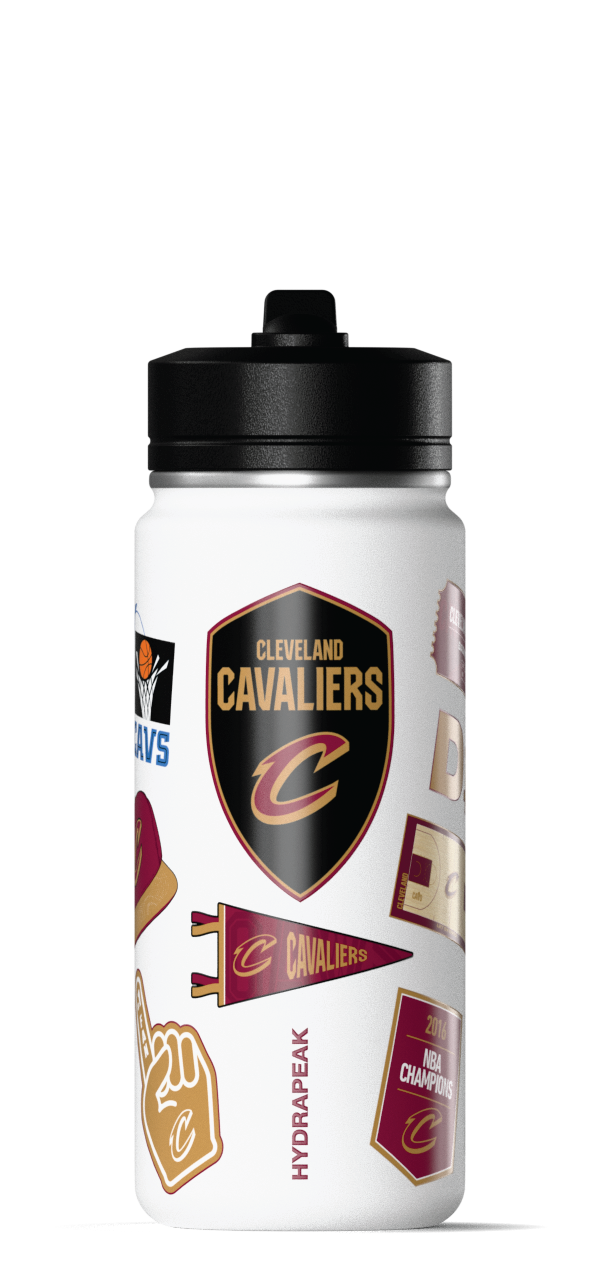 Hydrapeak NBA 20oz Active Insulated Water Bottle with Straw Lid & Handle